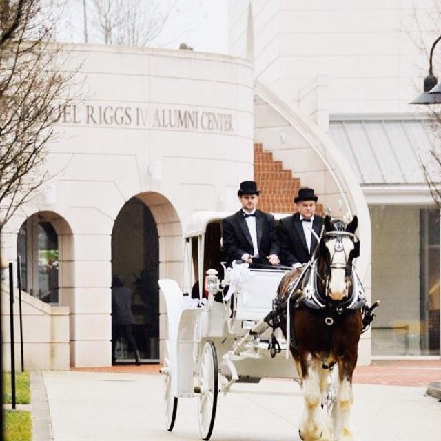 Horse and carriage in front of building